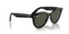 Picture of Ray Ban Sunglasses RB2241