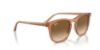Picture of Ray Ban Sunglasses RB2210