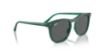 Picture of Ray Ban Sunglasses RB2210F