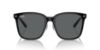 Picture of Ray Ban Sunglasses RB2206D