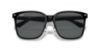 Picture of Ray Ban Sunglasses RB2206D