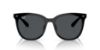 Picture of Ray Ban Sunglasses RB4379D
