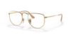 Picture of Ray Ban Eyeglasses RX3958V