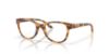 Picture of Oakley Eyeglasses HUMBLY A