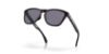 Picture of Oakley Sunglasses FROGSKINS RANGE A