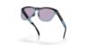 Picture of Oakley Sunglasses FROGSKINS RANGE A