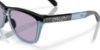 Picture of Oakley Sunglasses FROGSKINS RANGE A