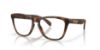 Picture of Oakley Eyeglasses FROGSKINS RX A