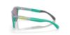 Picture of Oakley Sunglasses FROGSKINS RANGE