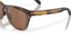 Picture of Oakley Sunglasses FROGSKINS RANGE
