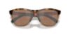 Picture of Oakley Sunglasses FROGSKINS RANGE