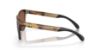 Picture of Oakley Sunglasses FROGSKINS RANGE (A)