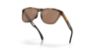 Picture of Oakley Sunglasses FROGSKINS RANGE (A)