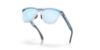 Picture of Oakley Sunglasses FROGSKINS RANGE (A)