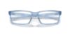 Picture of Oakley Eyeglasses OVERHEAD