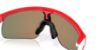 Picture of Oakley Sunglasses RESISTOR