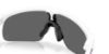 Picture of Oakley Sunglasses RESISTOR