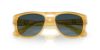 Picture of Persol Sunglasses PO3366S
