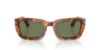 Picture of Persol Sunglasses PO3367S