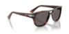 Picture of Persol Sunglasses PO3366S