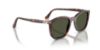 Picture of Persol Sunglasses PO3355S