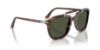 Picture of Persol Sunglasses PO0203S