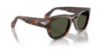 Picture of Persol Sunglasses PO0064S