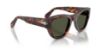Picture of Persol Sunglasses PO0054S