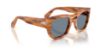 Picture of Persol Sunglasses PO0064S