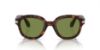 Picture of Persol Sunglasses PO0060S