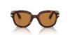 Picture of Persol Sunglasses PO0060S