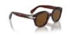 Picture of Persol Sunglasses PO0060S