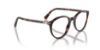 Picture of Persol Eyeglasses PO3353V