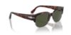 Picture of Persol Sunglasses PO3319S