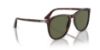 Picture of Persol Sunglasses PO3314S