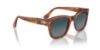 Picture of Persol Sunglasses PO3313S
