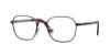 Picture of Persol Eyeglasses PO1010V