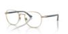Picture of Persol Eyeglasses PO1007V