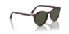 Picture of Persol Sunglasses PO3285S