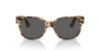 Picture of Persol Sunglasses PO3257S