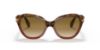Picture of Persol Sunglasses PO0582S