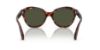 Picture of Persol Sunglasses PO0582S