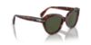 Picture of Persol Sunglasses PO0582S
