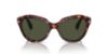 Picture of Persol Sunglasses PO0582S