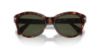 Picture of Persol Sunglasses PO0582S