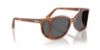 Picture of Persol Sunglasses PO0005