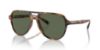 Picture of Brooks Brothers Sunglasses BB5053U