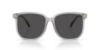Picture of Coach Sunglasses HC8413BD