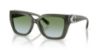 Picture of Coach Sunglasses HC8408F