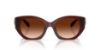 Picture of Coach Sunglasses HC8407U